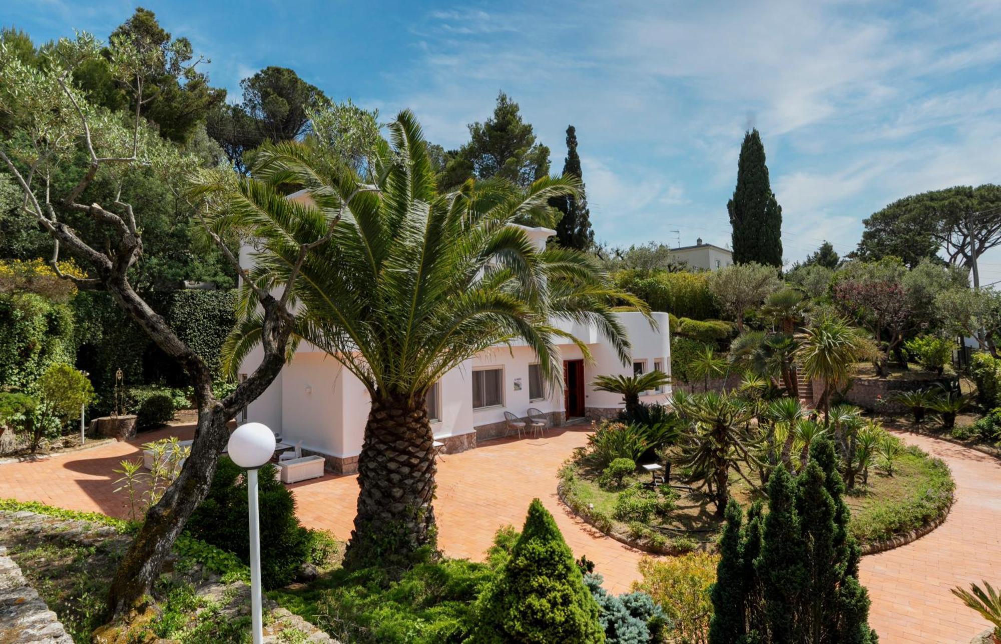 Villa Donna Carolina Capri 阿纳卡普里 外观 照片